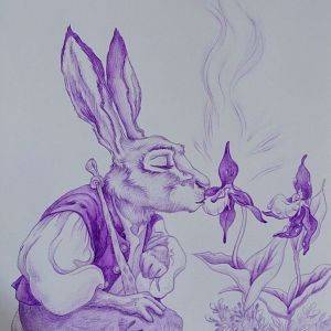 Gros projets commandés